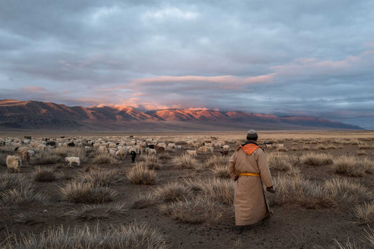 WARUM KASCHMIR FÜR DIE MONGOLEI SO WICHTIG IST