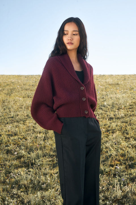 Kurze Kaschmir-Strickjacke mit Schalkragen, Editorial-Foto