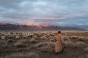 WARUM KASCHMIR FÜR DIE MONGOLEI SO WICHTIG IST