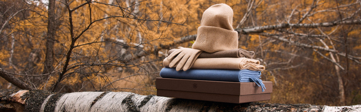 Kamelfarbene Rippstrick-Kaschmirmütze und Handschuhe auf gefalteten Kaschmirschals und einer Geschenkbox, auf einem Birkenstamm im herbstlichen Lärchenwald