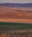 Sanfte Herbsthügel der mongolischen Steppe im warmen Abendlicht