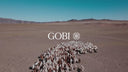 Kurzfilm: Kaschmirziegen ziehen durch die Wüste Gobi, das GOBI-Logo, eine Strickmaschine und Frauen in GOBI-Kaschmirstrick